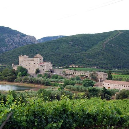 Castell De Riudabella Apartman Vimbodí Kültér fotó