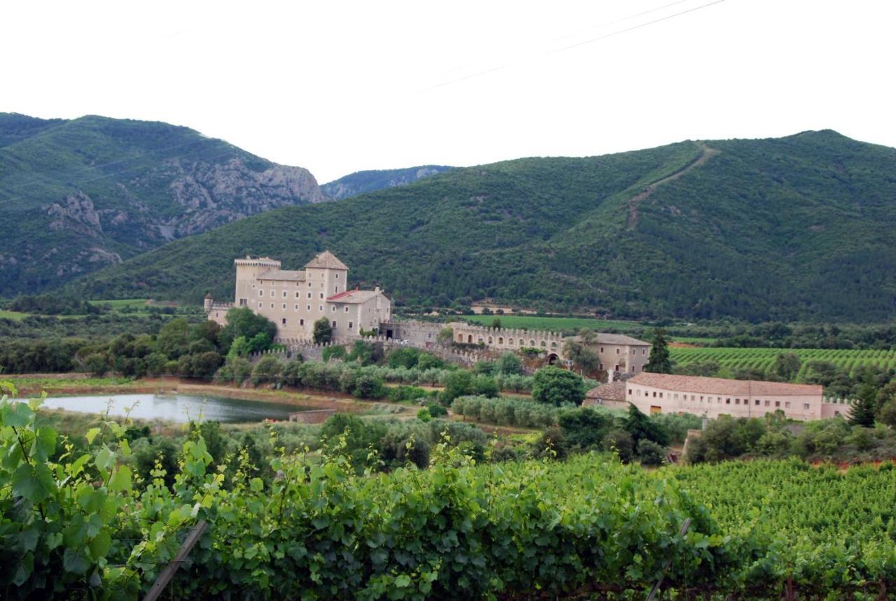 Castell De Riudabella Apartman Vimbodí Kültér fotó