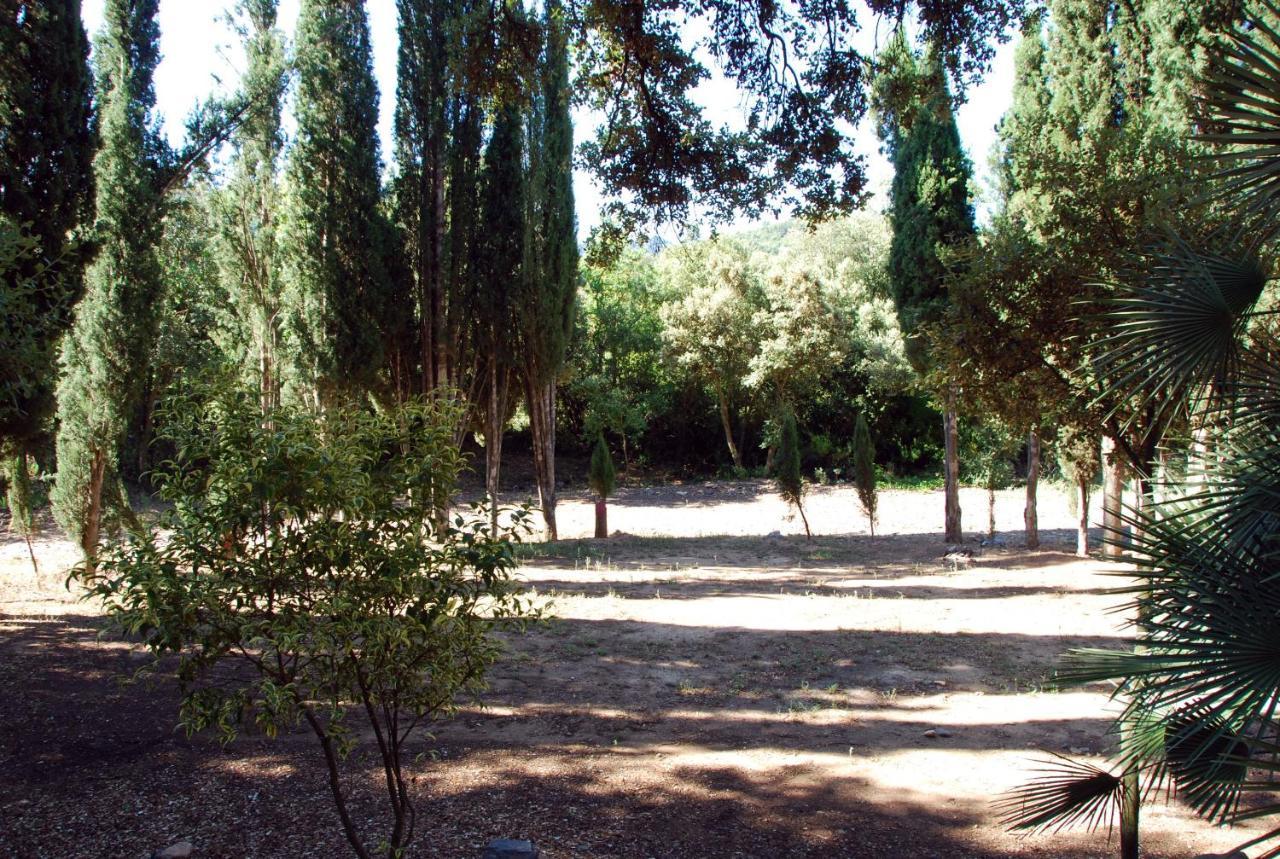 Castell De Riudabella Apartman Vimbodí Kültér fotó