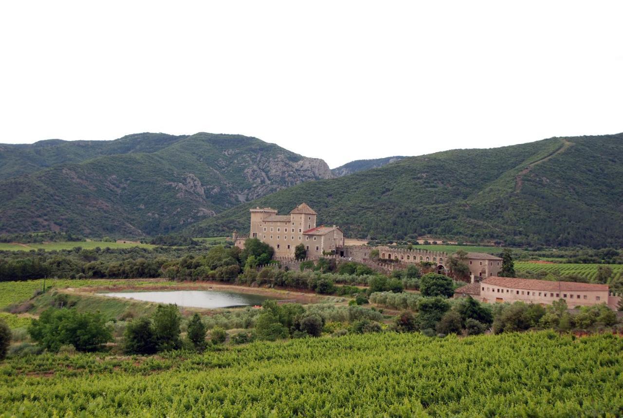 Castell De Riudabella Apartman Vimbodí Kültér fotó