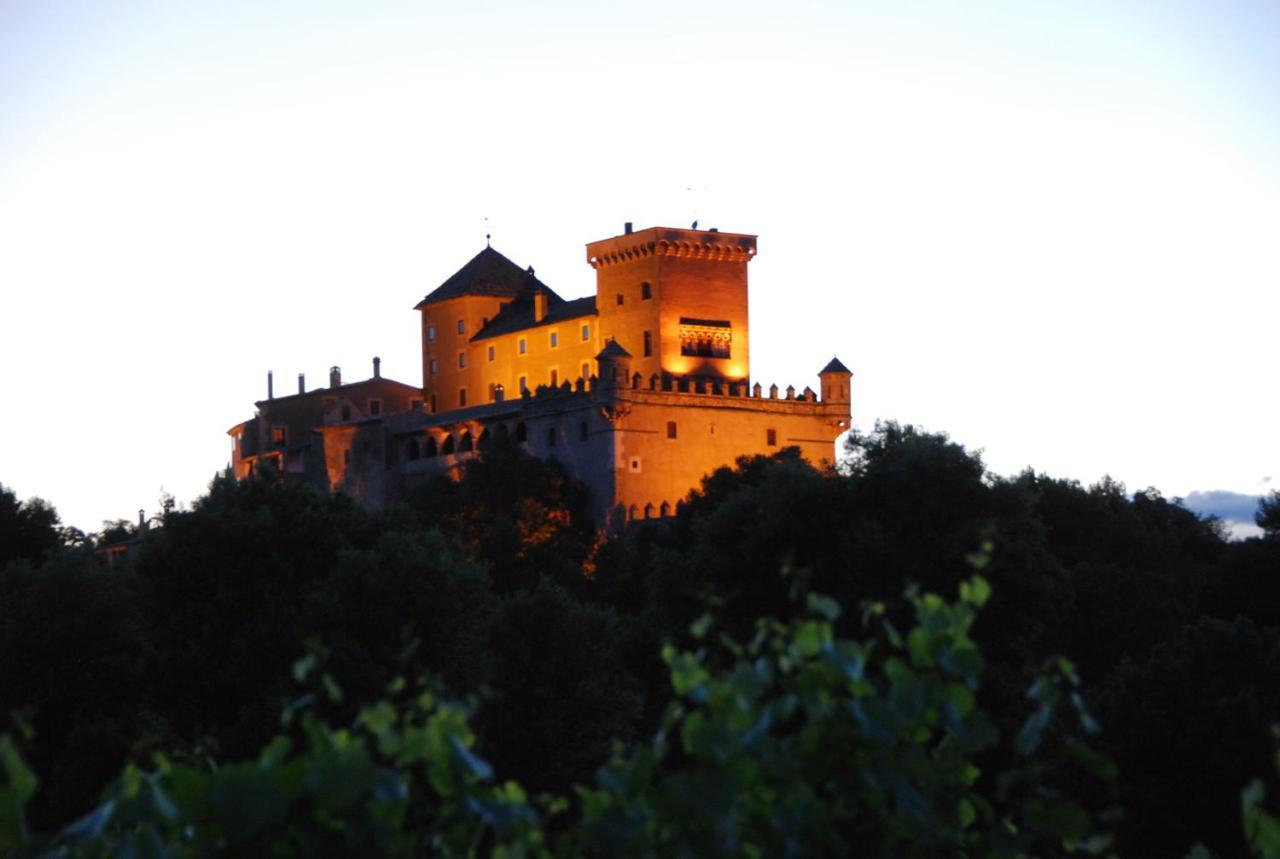 Castell De Riudabella Apartman Vimbodí Kültér fotó